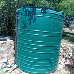 WhatsApp Image 2025-11-16 at 11.59.36 (2)